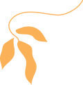 Billing software shape 3